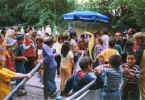 SOMMER1.JPG (21927 Byte)