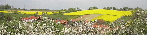 Ochsenbach bei Heidelberg - Frhling 2004
