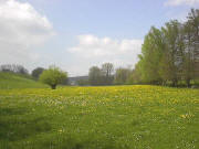 Frhling 2002 im Maisbachtal im Sden von Heidelberg