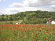 Maisbach Ende Mai 2002: Mohnfeld und Idylle