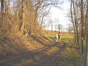 ... auf dem Weg nach Schatthausen